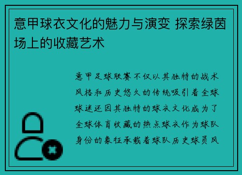 意甲球衣文化的魅力与演变 探索绿茵场上的收藏艺术